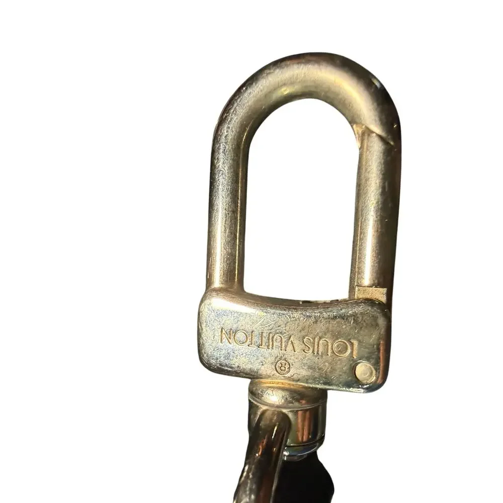 Louis Vuitton authentic louis
